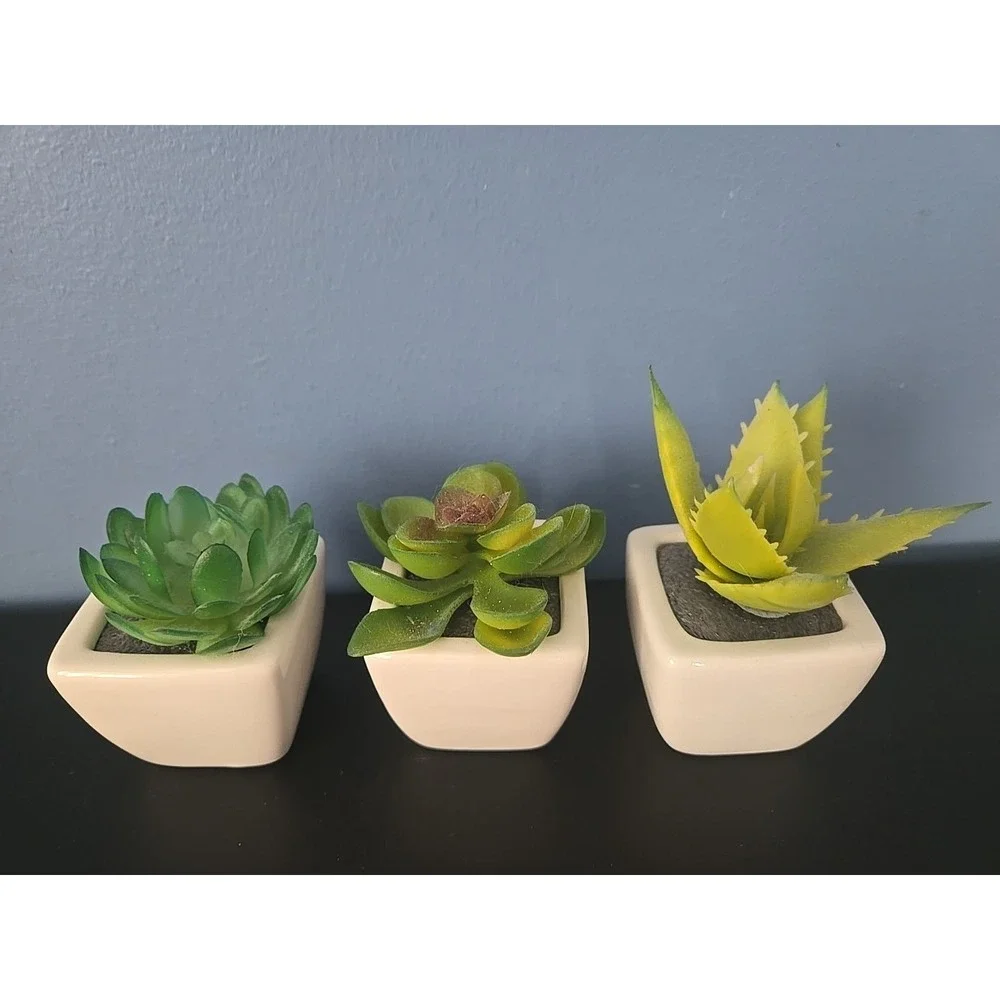3 Green Assorted Faux Echeveria Succulent Plants White Ceramic Pots Party